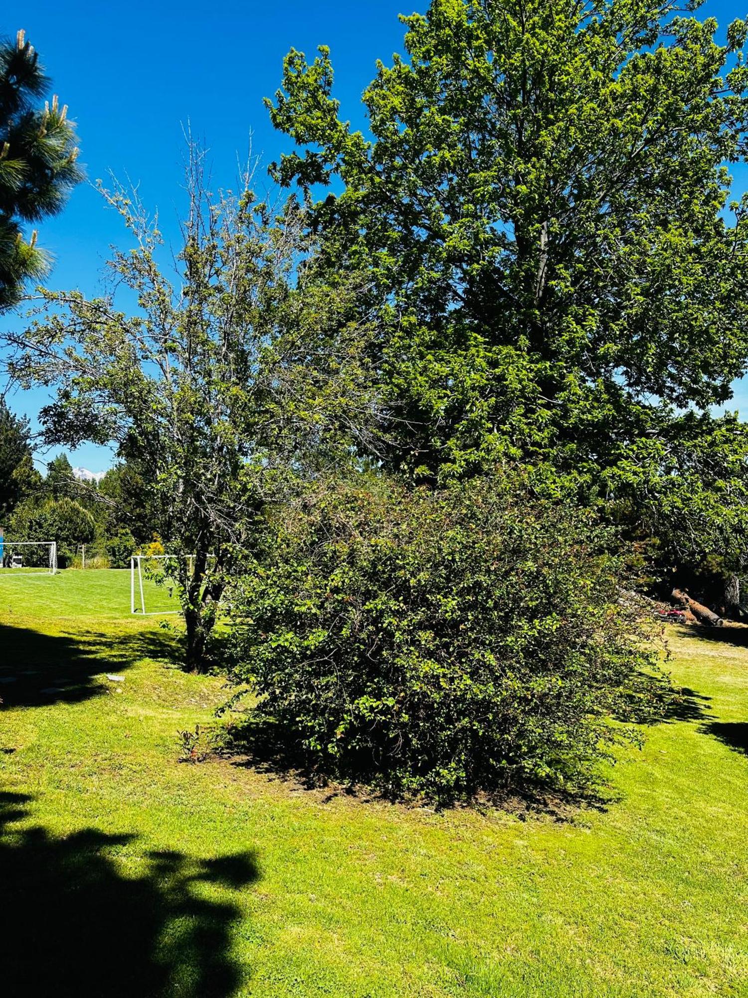 Casa En Familiar - R2046 * San Carlos de Bariloche